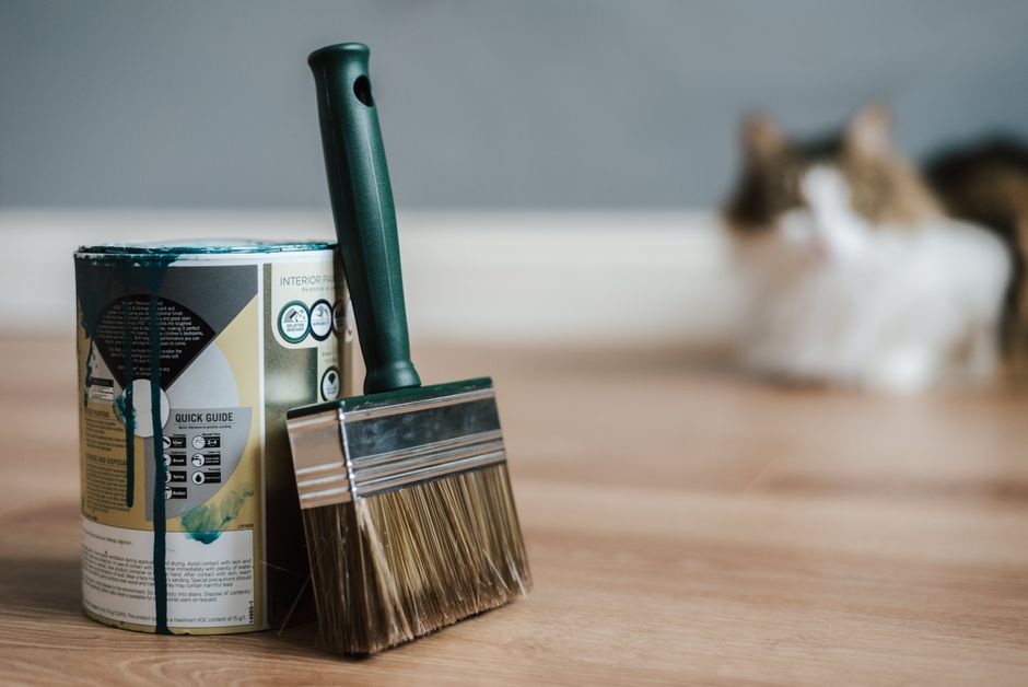 Peinture de lynx accentuant décoration sereine.